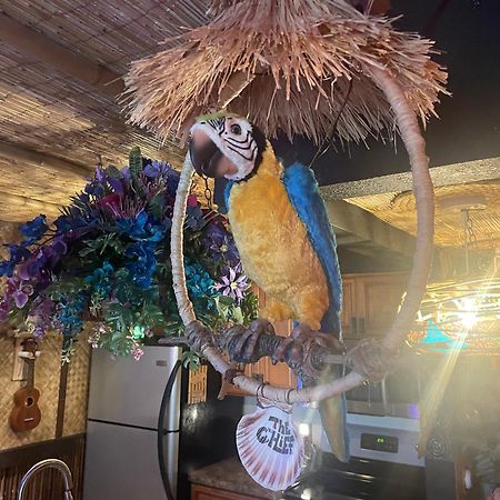 The Kondo Tiki Tampa Extérieur photo